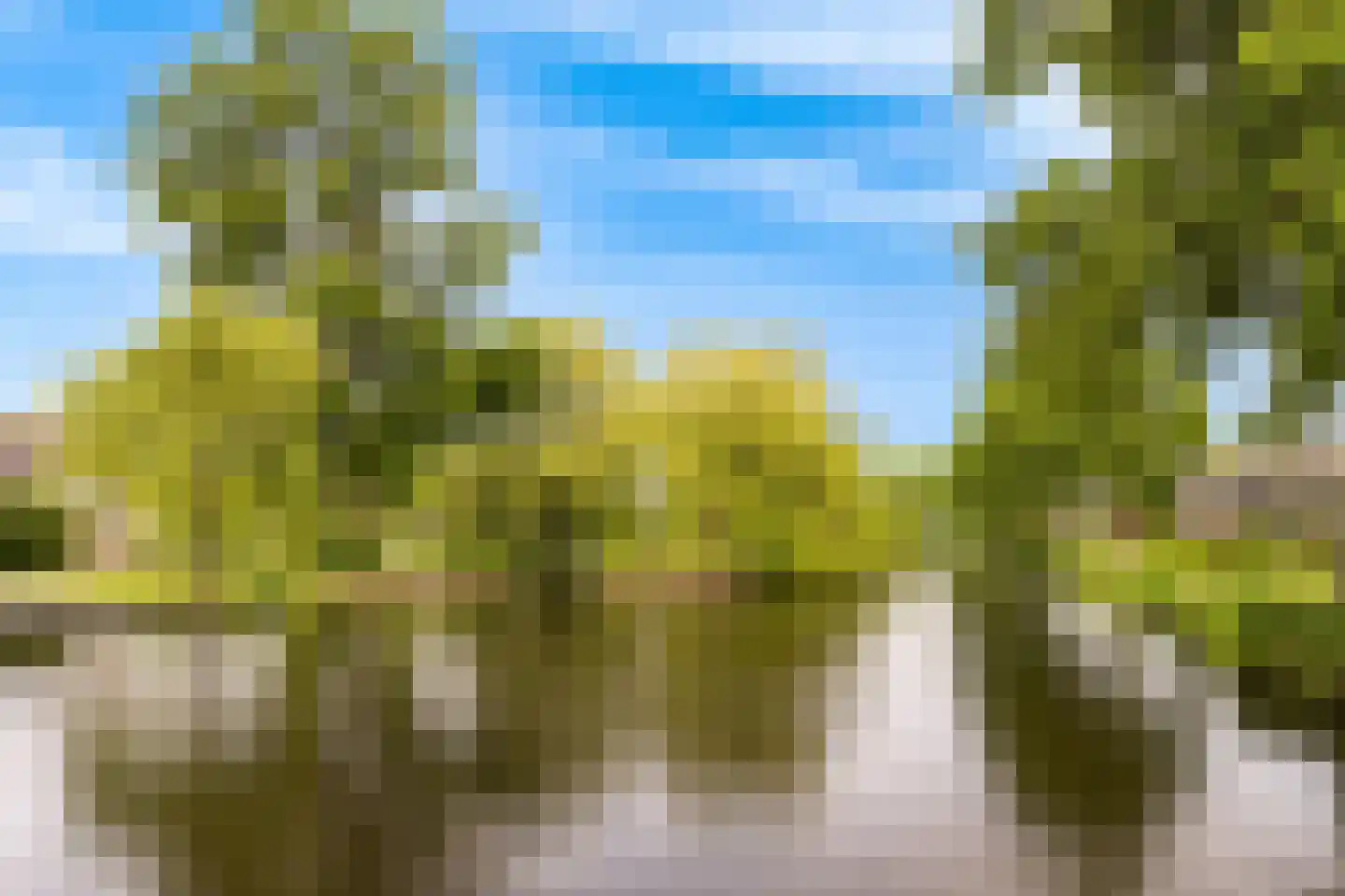 Landszoom 35 Krimpen aan den IJssel thumbnail 35
