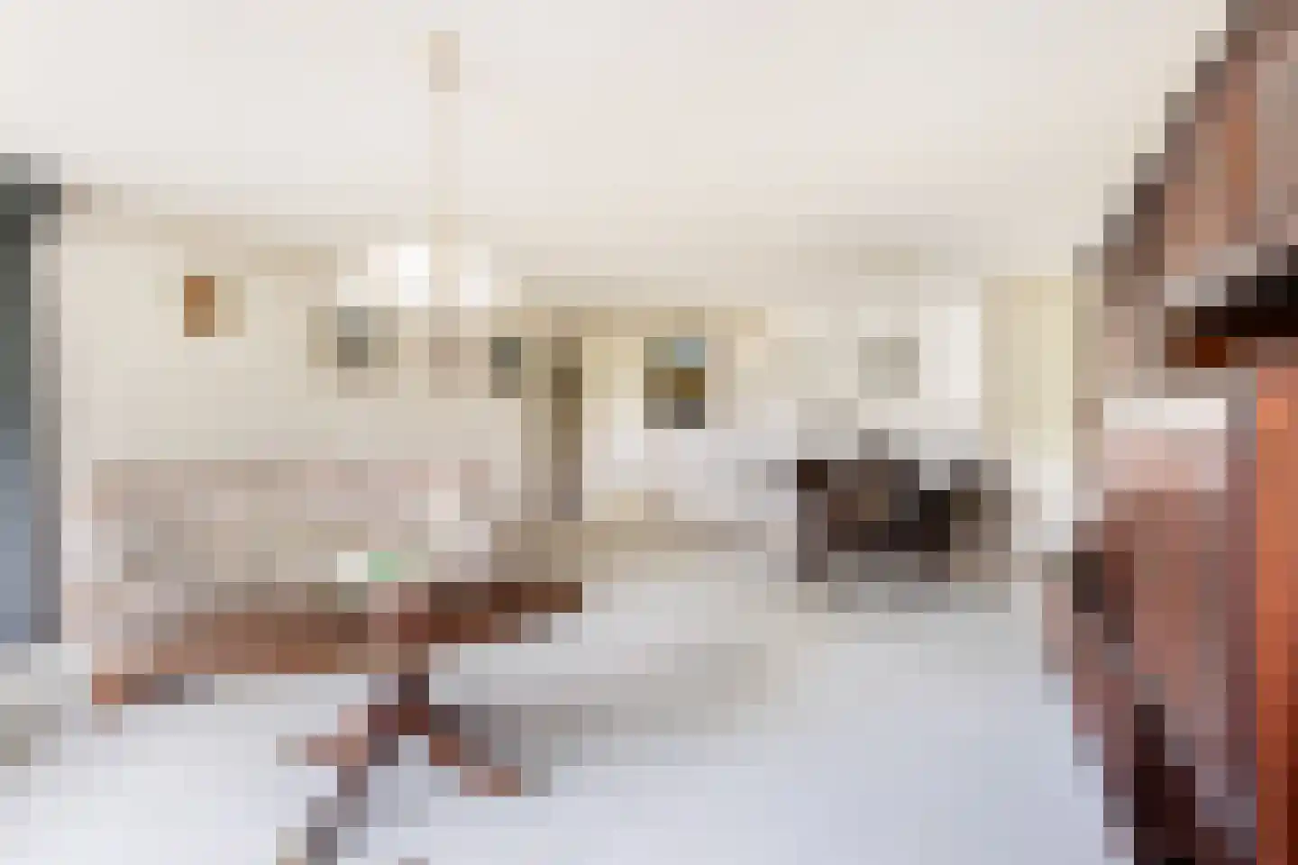 Landszoom 35 Krimpen aan den IJssel thumbnail 4