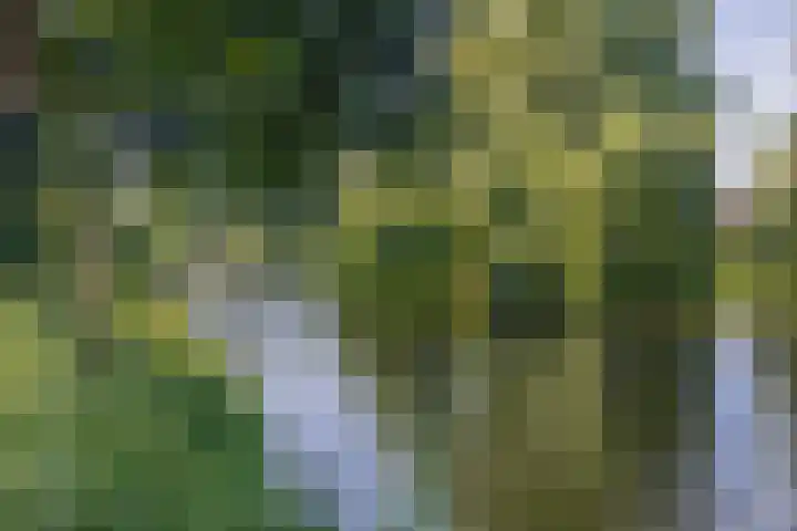 Landszoom 36 Krimpen aan den IJssel thumbnail 38