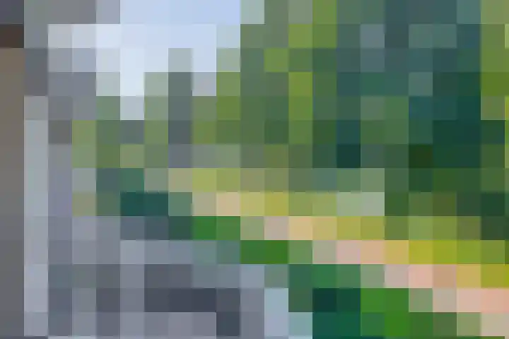 Landszoom 36 Krimpen aan den IJssel thumbnail 5