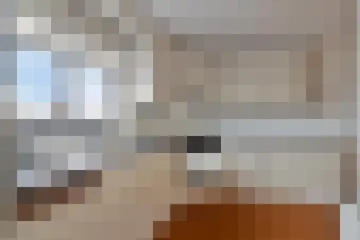 Landszoom 48 Krimpen aan den IJssel thumbnail 13