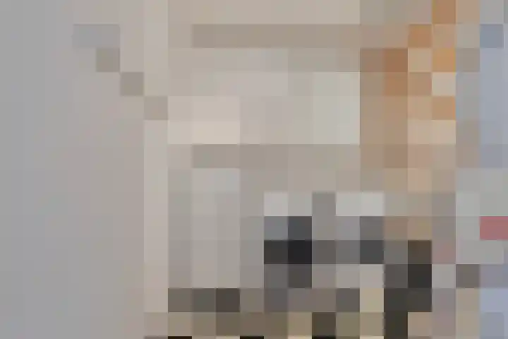 Landszoom 48 Krimpen aan den IJssel thumbnail 16