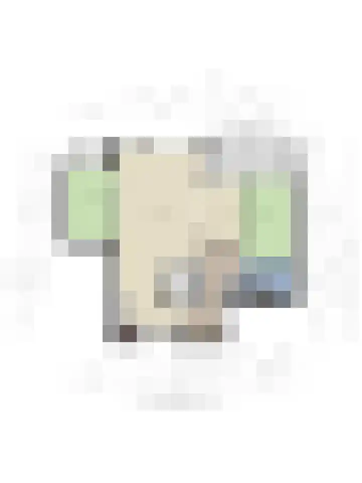 Landszoom 48 Krimpen aan den IJssel thumbnail 31