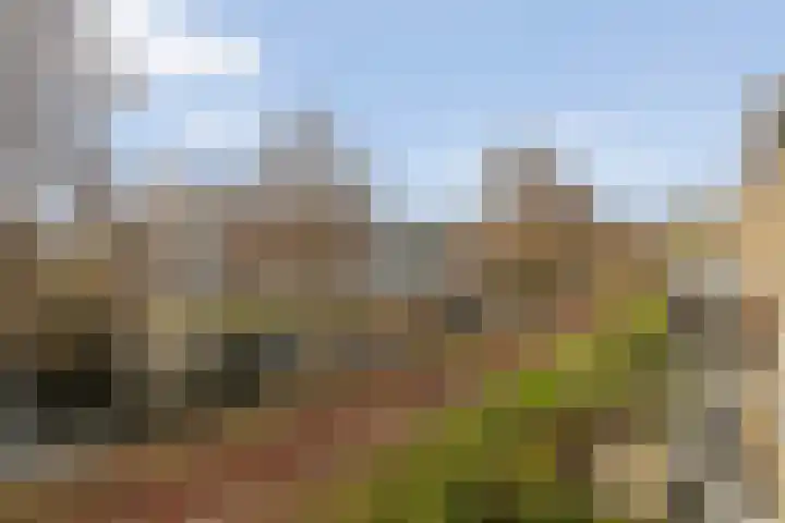 Landszoom 48 Krimpen aan den IJssel thumbnail 7