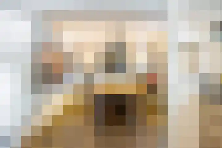 Landszoom 6 Krimpen aan den IJssel thumbnail 10