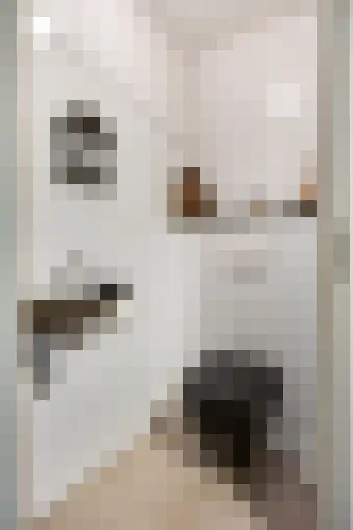 Landszoom 6 Krimpen aan den IJssel thumbnail 13