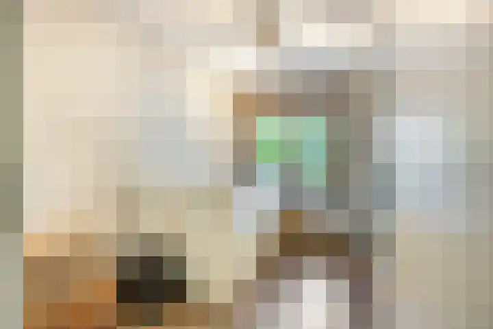 Landszoom 6 Krimpen aan den IJssel thumbnail 19