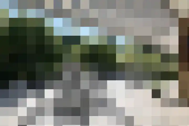 Landszoom 6 Krimpen aan den IJssel foto 2