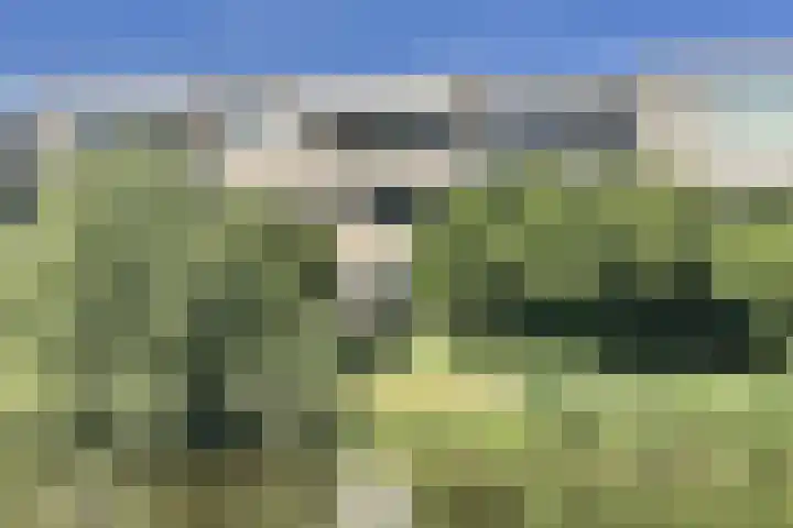 Landszoom 6 Krimpen aan den IJssel thumbnail 22