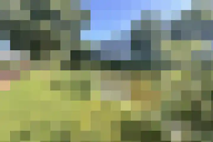 Landszoom 6 Krimpen aan den IJssel thumbnail 23