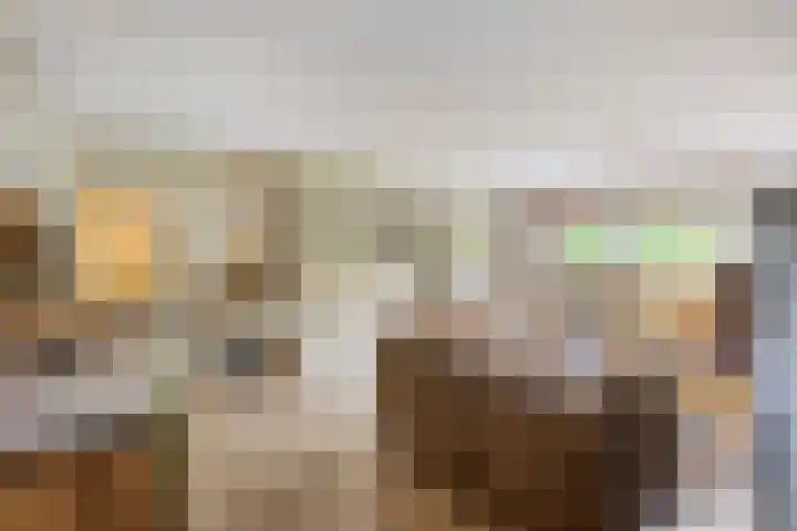 Landszoom 6 Krimpen aan den IJssel foto 3