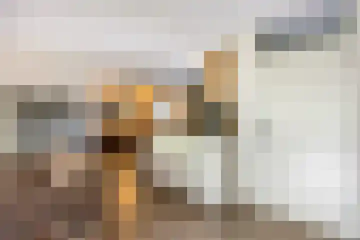 Landszoom 6 Krimpen aan den IJssel thumbnail 7