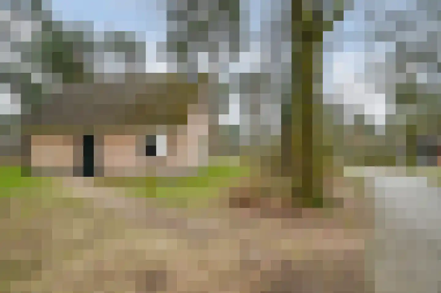 Landuwerweg 17 357 Holten thumbnail 21