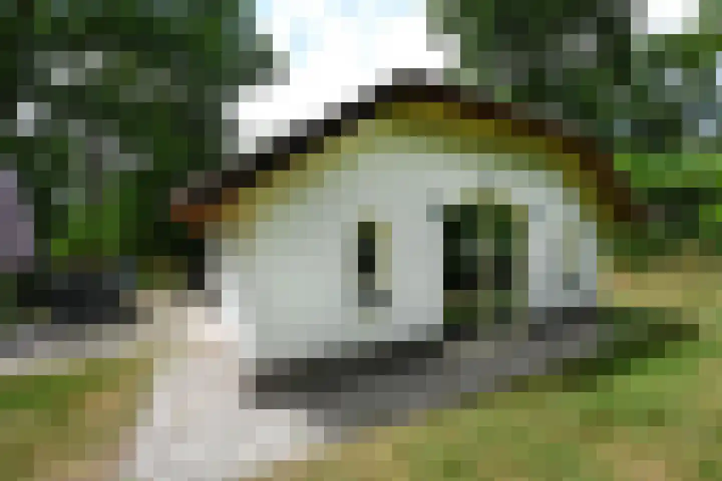 Landuwerweg 17 400 Holten thumbnail 20