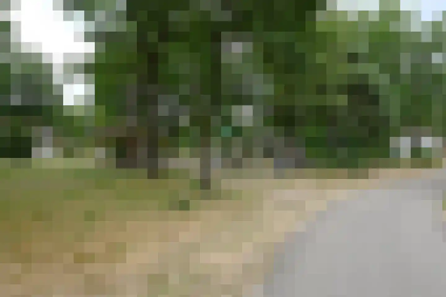 Landuwerweg 17 400 Holten thumbnail 25