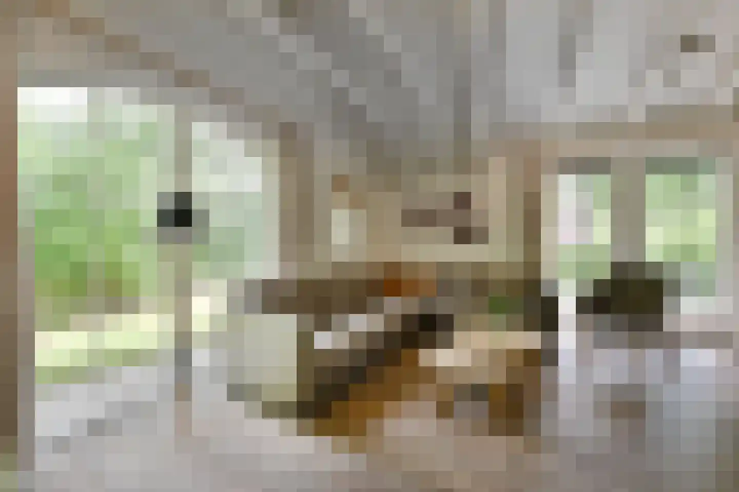Landuwerweg 17 400 Holten thumbnail 4