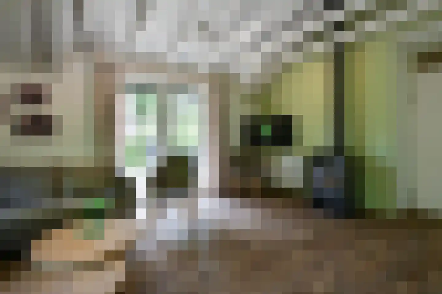 Landuwerweg 17 400 Holten thumbnail 6