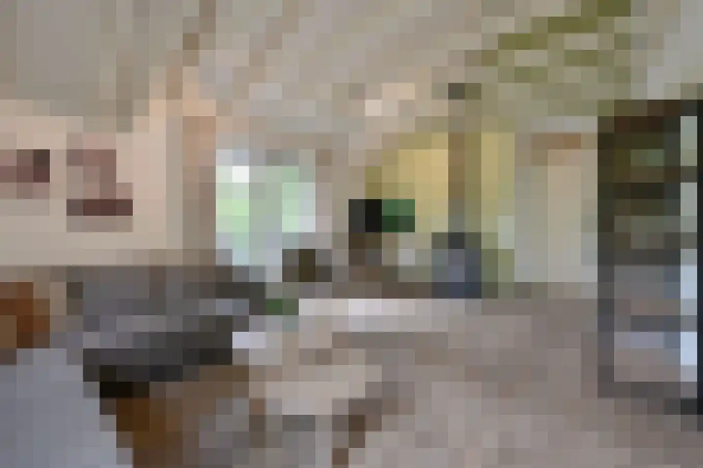 Landuwerweg 17 400 Holten thumbnail 8