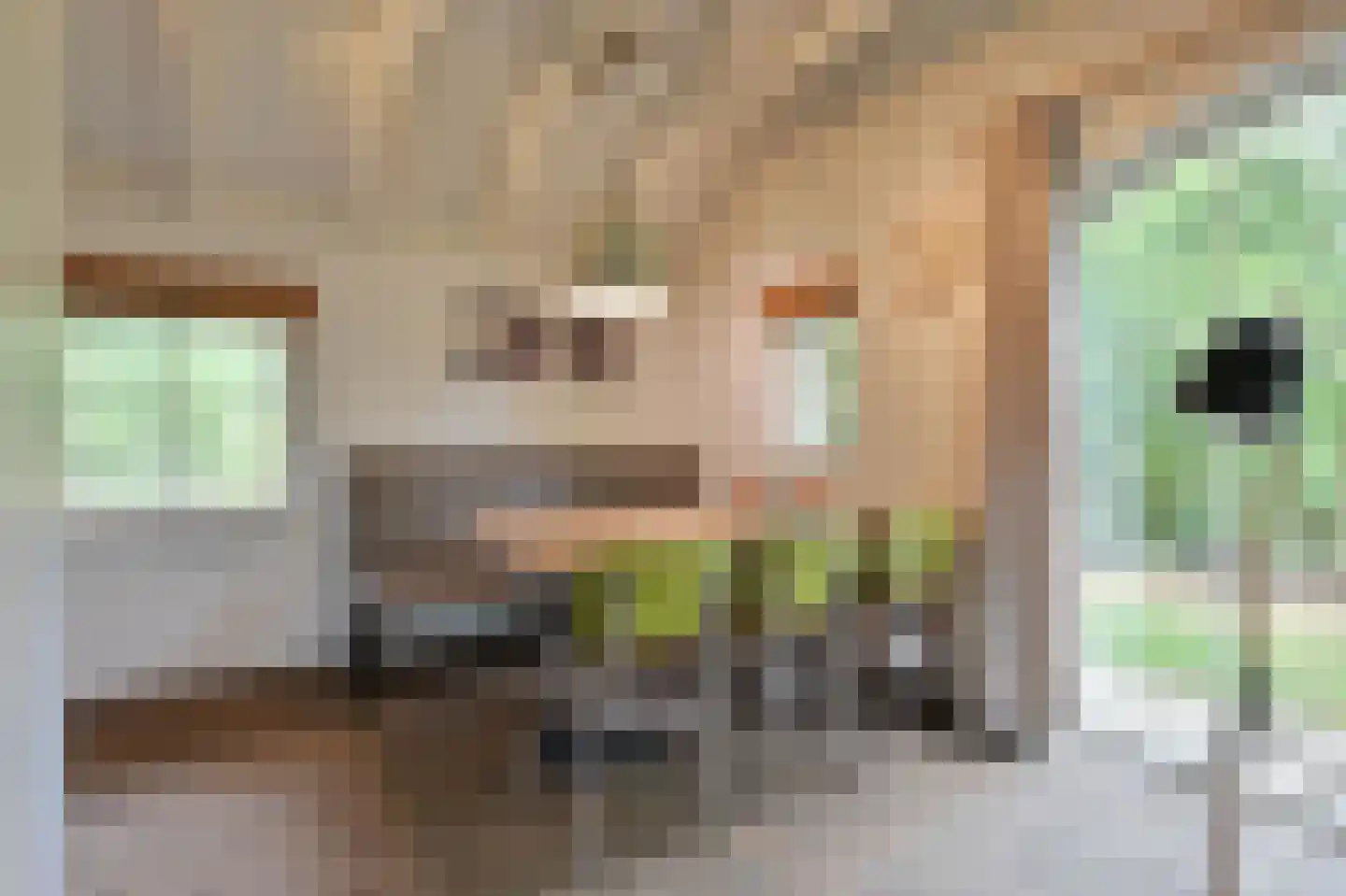 Landuwerweg 17 400 Holten thumbnail 9
