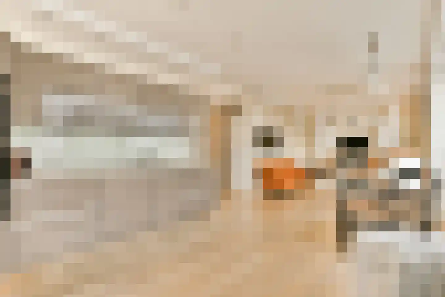 Landverhuizersplein 130 Rotterdam thumbnail 4