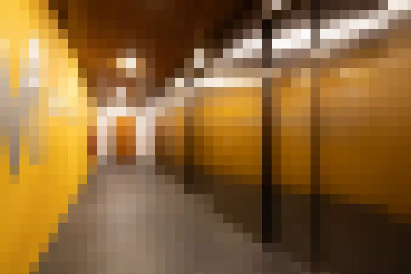 Landverhuizersplein 131 Rotterdam thumbnail 28