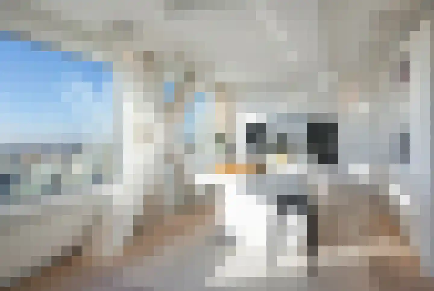 Landverhuizersplein 146 Rotterdam thumbnail 6
