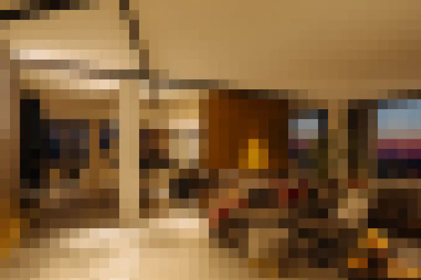 Landverhuizersplein 149 Rotterdam thumbnail 4