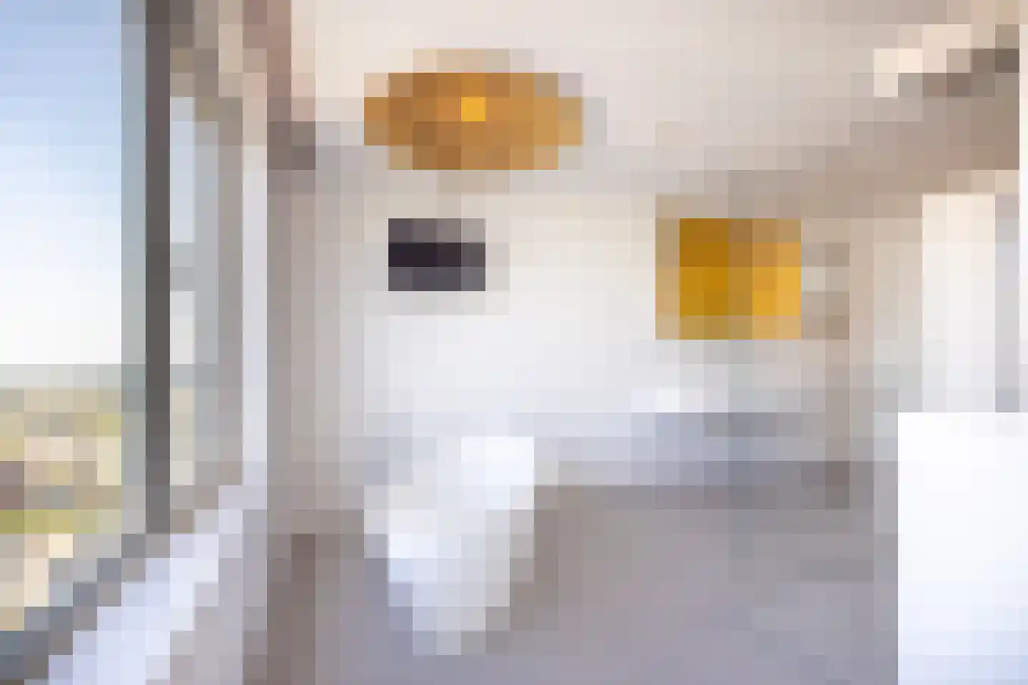 Landverhuizersplein 151 Rotterdam thumbnail 15