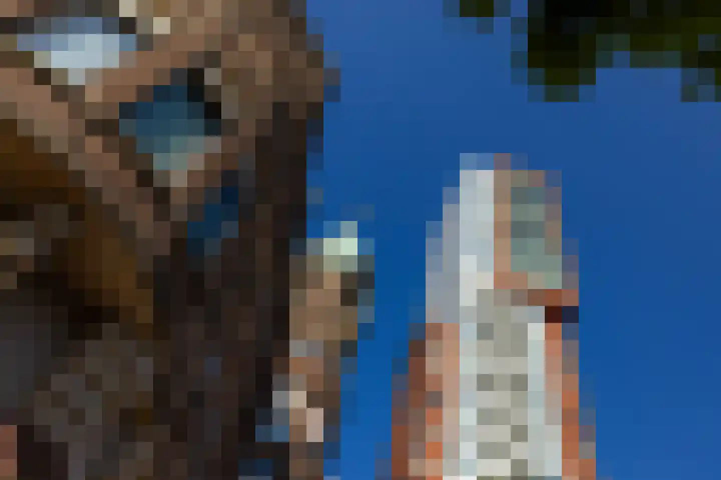 Landverhuizersplein 2 Rotterdam thumbnail 22