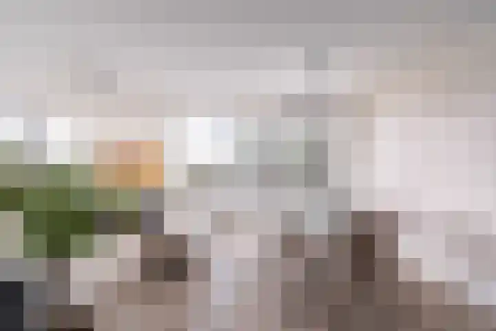 Landverhuizersplein 27 Rotterdam thumbnail 9