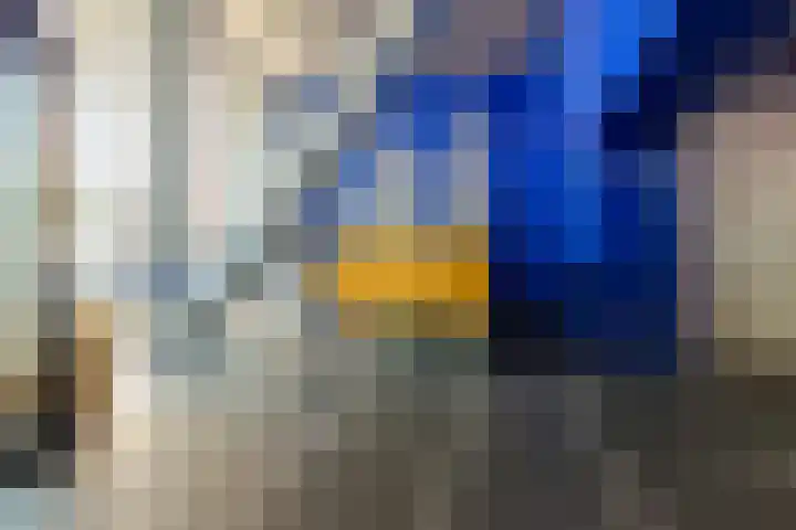 Landverhuizersplein 34 Rotterdam thumbnail 40