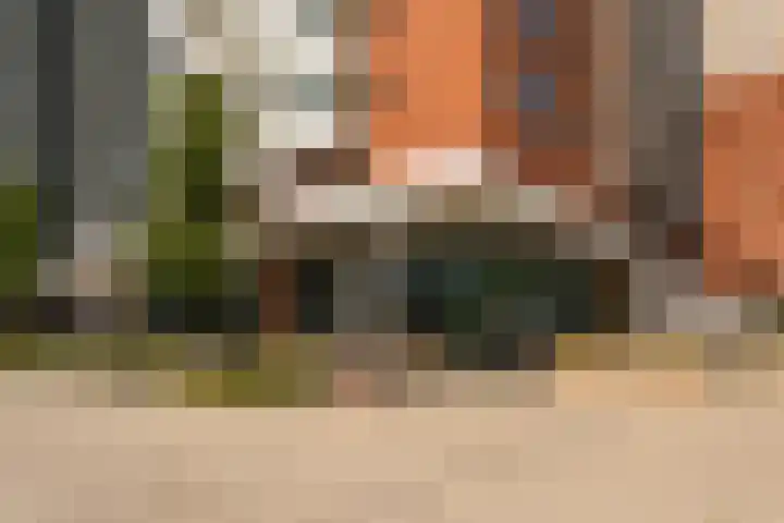 Landverhuizersplein 34 Rotterdam thumbnail 41
