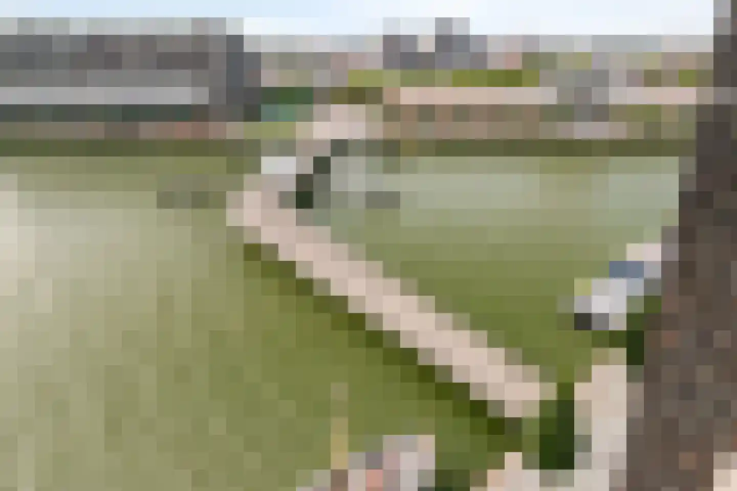 Landverhuizersplein 35 Rotterdam thumbnail 10