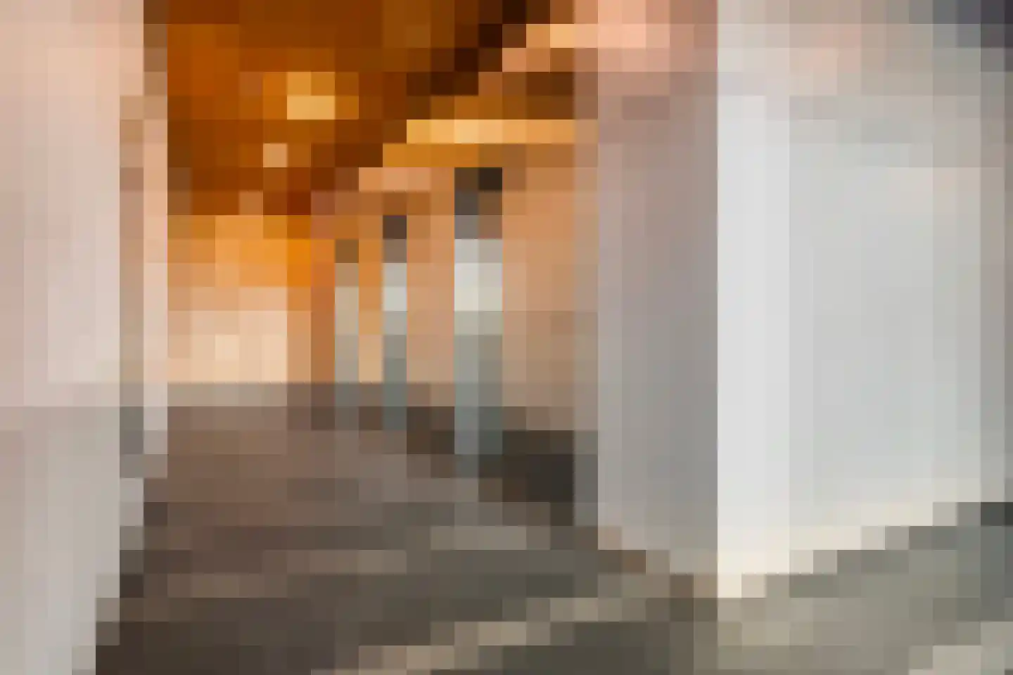 Landverhuizersplein 35 Rotterdam thumbnail 26