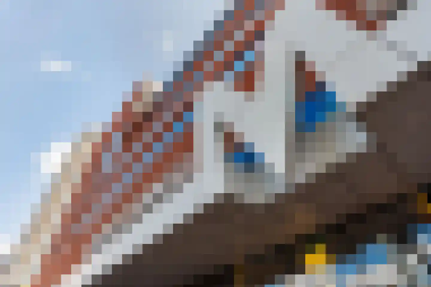 Landverhuizersplein 57 Rotterdam thumbnail 32