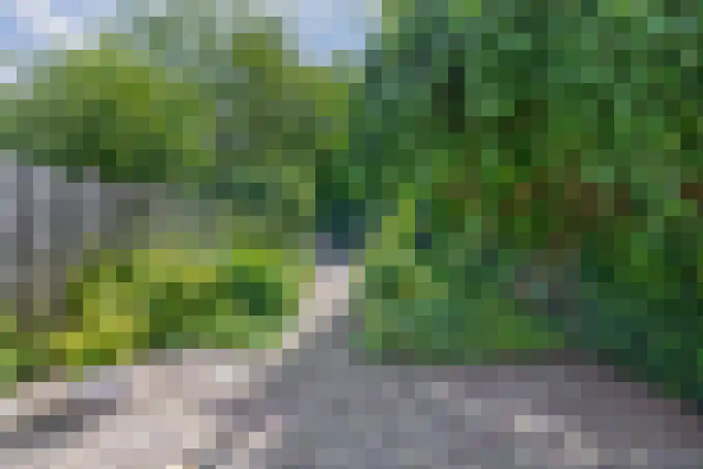 Landvoogd 6 Rhoon thumbnail 32