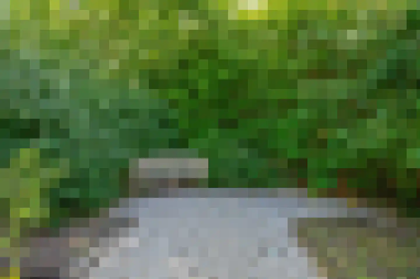 Landvoogd 6 Rhoon thumbnail 33