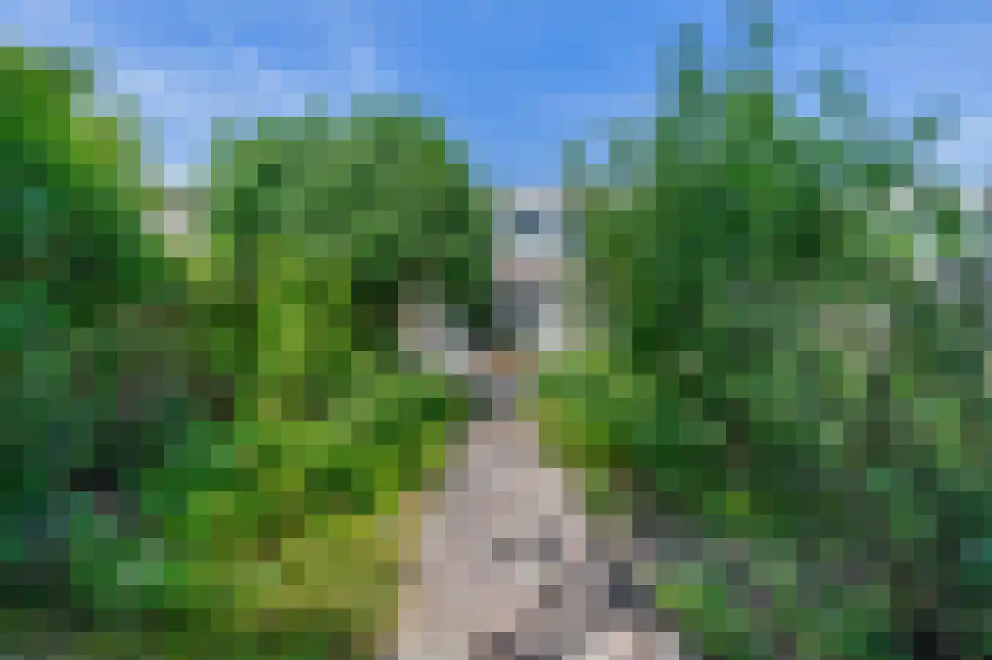 Landvoogd 6 Rhoon thumbnail 34