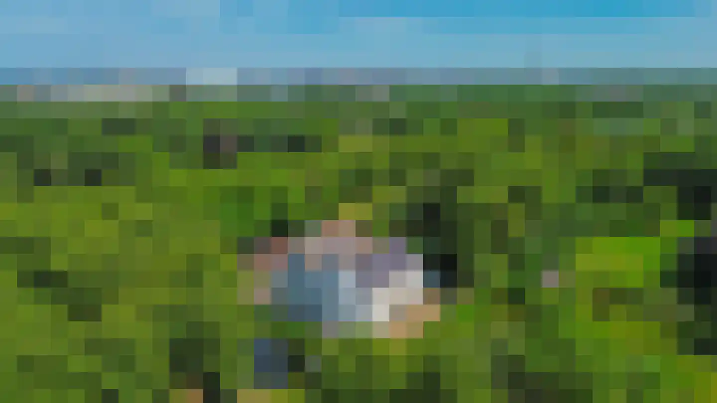 Landvoogd 6 Rhoon thumbnail 36
