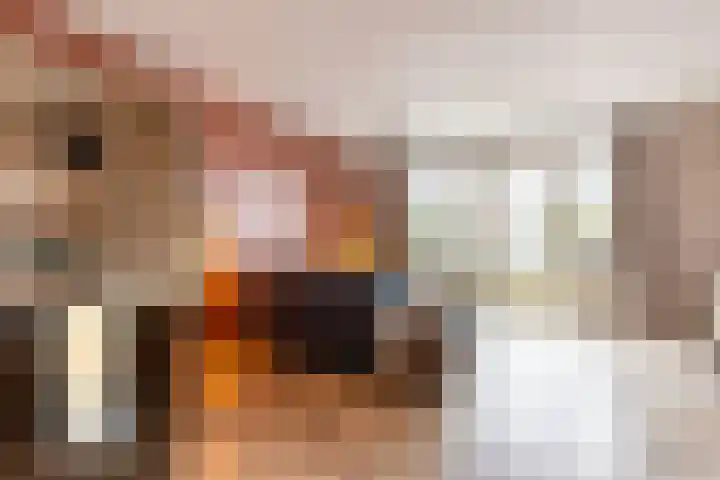 Landvoogdes 12 Brielle thumbnail 10