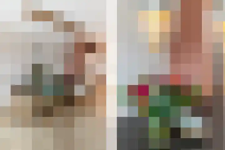 Landvoogdes 12 Brielle thumbnail 13