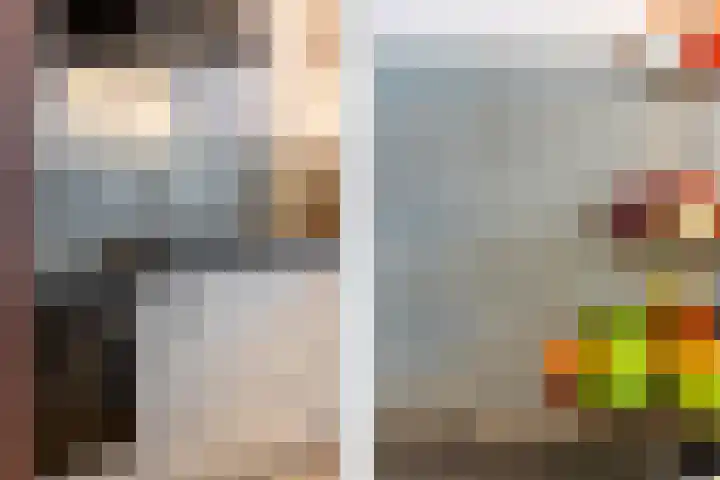 Landvoogdes 12 Brielle thumbnail 17
