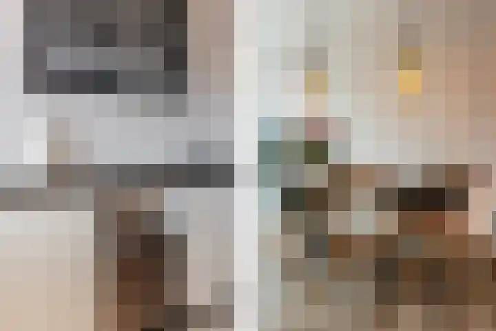 Landvoogdes 12 Brielle thumbnail 18