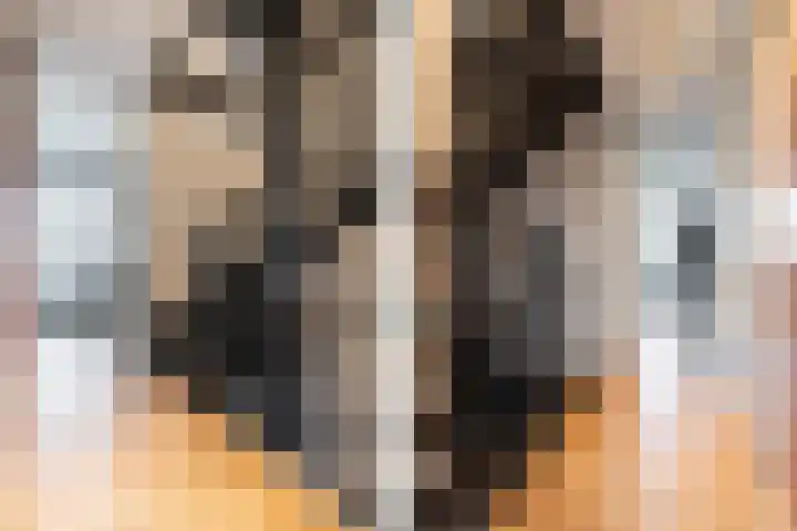 Landvoogdes 12 Brielle thumbnail 22