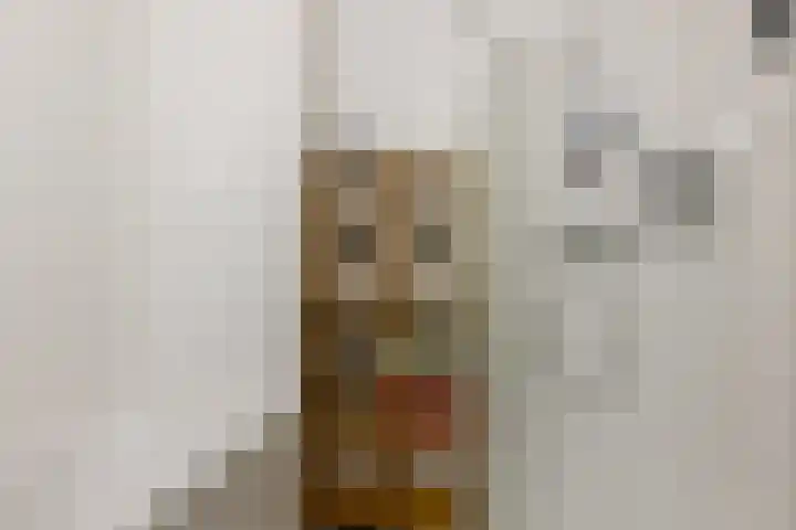 Landvoogdes 12 Brielle thumbnail 24