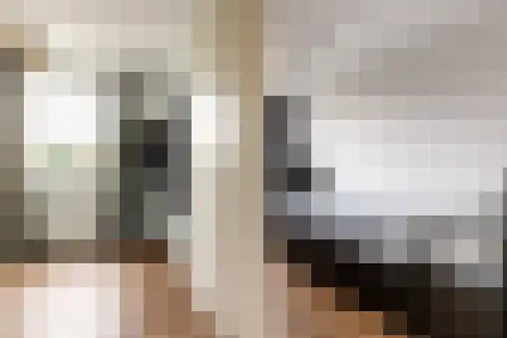 Landvoogdes 12 Brielle thumbnail 26