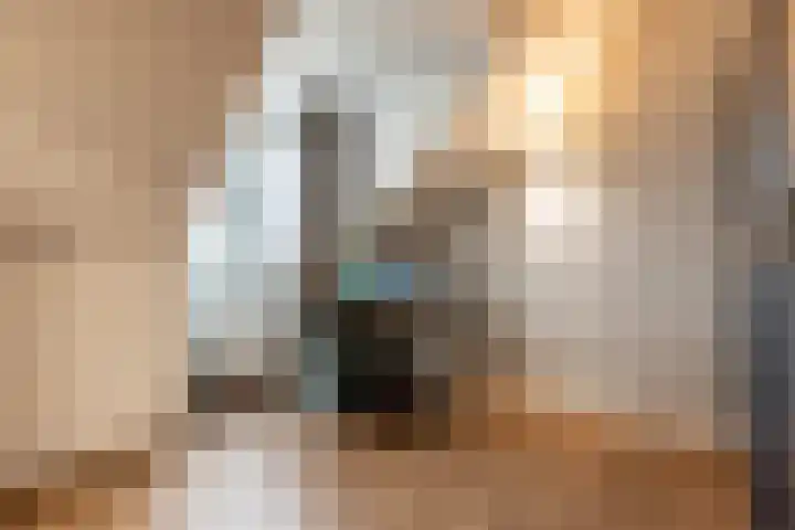 Landvoogdes 12 Brielle thumbnail 34