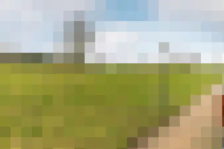 Landvoogdes 12 Brielle thumbnail 38