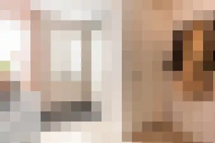 Landvoogdes 12 Brielle thumbnail 8