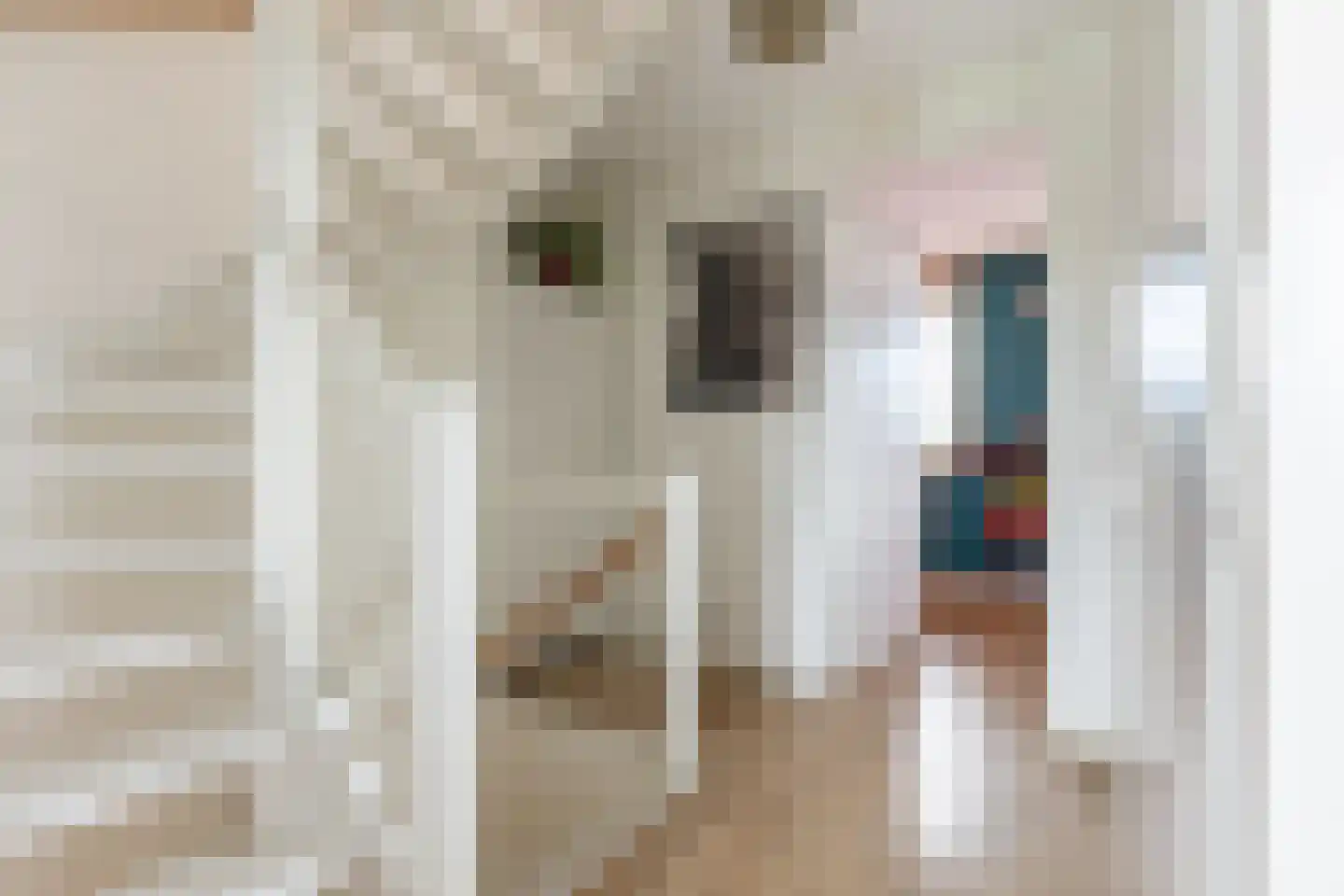 Landvoogdes 121 Brielle thumbnail 21